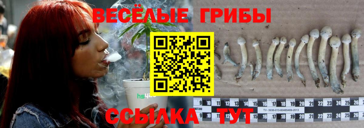Сертолово  Галлюциногенные грибы Psilocybe  Вход с VPN 